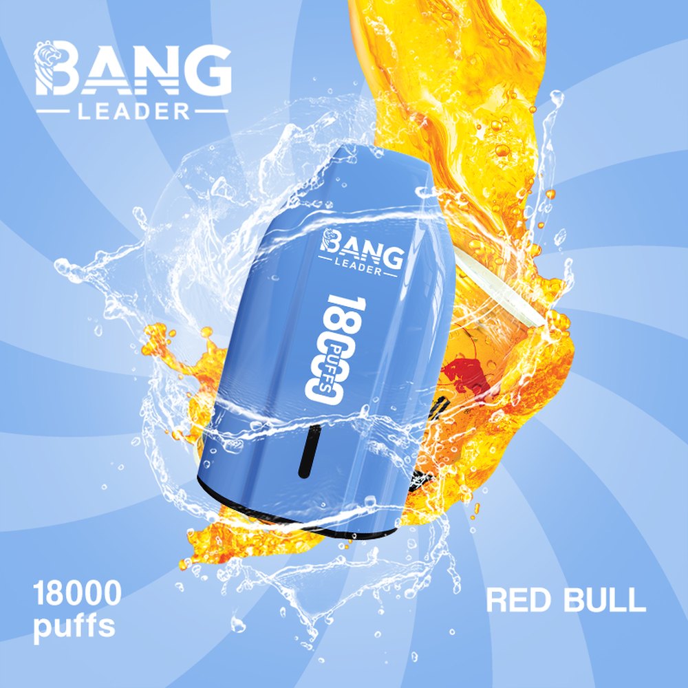 bang leader 18k ndfin1 bang leader 18k ndfin1