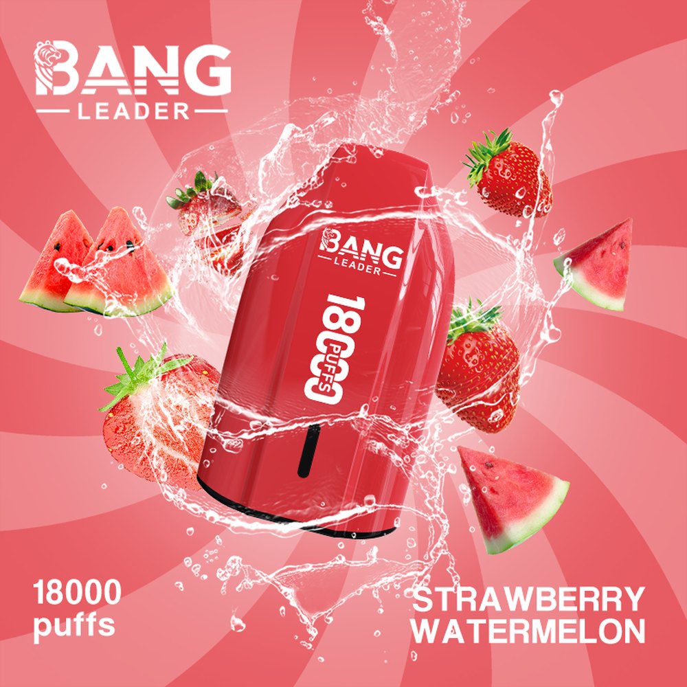 bang leader 18k ndfin2 bang leader 18k ndfin2