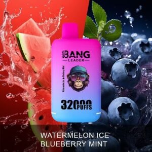 Bang Leader 32K 2 in 1