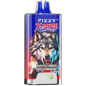fizzy x space 100k ndfin1