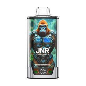 JNR Regegorrilla 55000